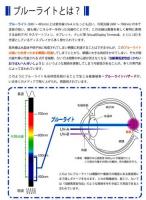 【送料無料】ブルーライトカット液晶保護フィルム 17インチ(339×271mm)　2枚セット