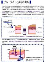 【送料無料】ブルーライトカット液晶保護フィルム 17インチ(339×271mm)　2枚セット